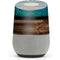 Animal Print Fashion Google Home Skin